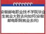 安徽邮电职业技术学院毕业生就业大致去向如何(安徽邮电职院就业去向)