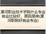 漯河职业技术学院什么专业就业比较好，原因是啥(漯河职院好就业专业)