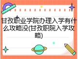 甘孜职业学院办理入学有什么攻略没(甘孜职院入学攻略)
