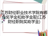 江苏财经职业技术学院有哪些奖学金和助学金呢(江苏财经职院奖助学金)