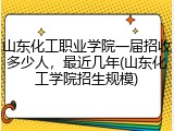 山东化工职业学院一届招收多少人，最近几年(山东化工学院招生规模)