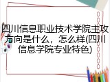 四川信息职业技术学院主攻方向是什么，怎么样(四川信息学院专业特色)