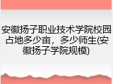 安徽扬子职业技术学院校园占地多少亩，多少师生(安徽扬子学院规模)