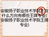 安徽扬子职业技术学院主攻什么方向有哪些王牌专业(安徽扬子职业技术学院王牌专业)