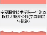 宁夏职业技术学院一年财政拨款大概多少钱(宁夏职院年拨款)