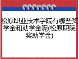 松原职业技术学院有哪些奖学金和助学金呢(松原职院奖助学金)