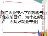 铜仁职业技术学院哪些专业就业前景好，为什么(铜仁职院好就业专业)