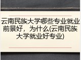 云南民族大学哪些专业就业前景好，为什么(云南民族大学就业好专业)