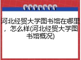 河北经贸大学图书馆在哪里，怎么样(河北经贸大学图书馆概况)