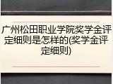 广州松田职业学院奖学金评定细则是怎样的(奖学金评定细则)