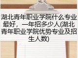 湖北青年职业学院什么专业最好，一年招多少人(湖北青年职业学院优势专业及招生人数)