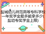 盐城幼儿师范高等专科学校一年奖学金最多能拿多少(盐幼专奖学金上限)