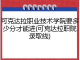 可克达拉职业技术学院要多少分才能进(可克达拉职院录取线)