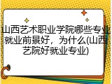 山西艺术职业学院哪些专业就业前景好，为什么(山西艺院好就业专业)
