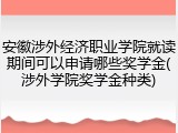 安徽涉外经济职业学院就读期间可以申请哪些奖学金(涉外学院奖学金种类)