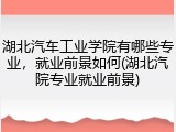 湖北汽车工业学院有哪些专业，就业前景如何(湖北汽院专业就业前景)