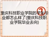 重庆科技职业学院的学生毕业都怎么样了(重庆科技职业学院毕业去向)