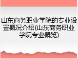 山东商务职业学院的专业设置概况介绍(山东商务职业学院专业概览)