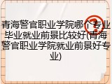 青海警官职业学院哪个专业毕业就业前景比较好(青海警官职业学院就业前景好专业)