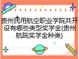 贵州民用航空职业学院共开设有哪些类型奖学金(贵州航院奖学金种类)