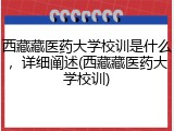 西藏藏医药大学校训是什么，详细阐述(西藏藏医药大学校训)