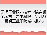 昆明工业职业技术学院在哪个城市，是本科吗，第几批(昆明工业职院城市批次)