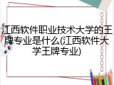江西软件职业技术大学的王牌专业是什么(江西软件大学王牌专业)