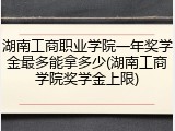 湖南工商职业学院一年奖学金最多能拿多少(湖南工商学院奖学金上限)