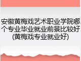 安徽黄梅戏艺术职业学院哪个专业毕业就业前景比较好(黄梅戏专业就业好)