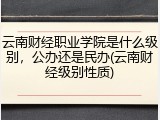 云南财经职业学院是什么级别，公办还是民办(云南财经级别性质)