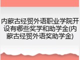 内蒙古经贸外语职业学院开设有哪些奖学和助学金(内蒙古经贸外语奖助学金)