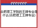 合肥理工学院的王牌专业是什么(合肥理工王牌专业)