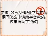 安徽涉外经济职业学院在读期间怎么申请助学贷款(在校申请助学贷款)