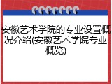 安徽艺术学院的专业设置概况介绍(安徽艺术学院专业概览)