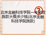 北京金融科技学院一年财政拨款大概多少钱(北京金融科技学院拨款)