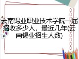云南锡业职业技术学院一届招收多少人，最近几年(云南锡业招生人数)