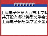 上海电子信息职业技术学院共开设有哪些类型奖学金(上海电子信息奖学金类型)
