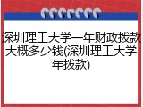 深圳理工大学一年财政拨款大概多少钱(深圳理工大学年拨款)