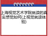 上海视觉艺术学院就读的真实感觉如何(上视觉就读体验)