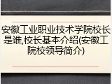 安徽工业职业技术学院校长是谁,校长基本介绍(安徽工院校领导简介)