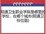 昭通卫生职业学院是哪里的学校，在哪个城市(昭通卫校位置)