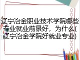 辽宁冶金职业技术学院哪些专业就业前景好，为什么(辽宁冶金学院好就业专业)