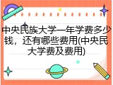 中央民族大学一年学费多少钱，还有哪些费用(中央民大学费及费用)