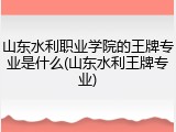 山东水利职业学院的王牌专业是什么(山东水利王牌专业)