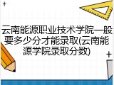 云南能源职业技术学院一般要多少分才能录取(云南能源学院录取分数)