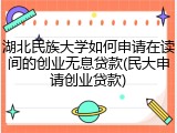 湖北民族大学如何申请在读间的创业无息贷款(民大申请创业贷款)