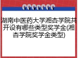 湖南中医药大学湘杏学院共开设有哪些类型奖学金(湘杏学院奖学金类型)