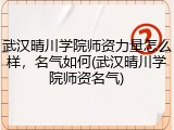 武汉晴川学院师资力量怎么样，名气如何(武汉晴川学院师资名气)