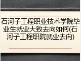 石河子工程职业技术学院毕业生就业大致去向如何(石河子工程职院就业去向)