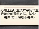苏州工业职业技术学院毕业后就业前景怎么样，毕业生去向(苏工院就业去向)